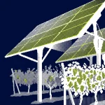 agrivoltaïsme france 2026 — illustration