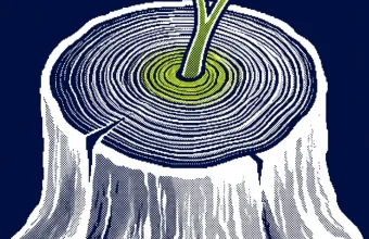 gouvernance totalenergies — illustration